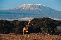 Mount Kilimanjaro